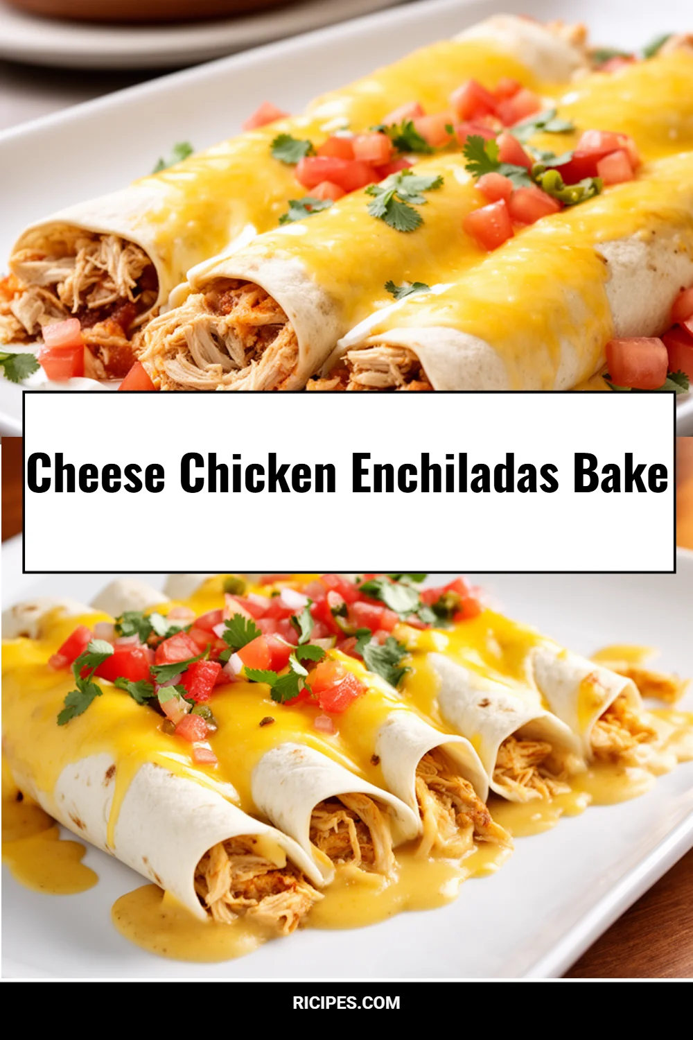 Cheese Chicken Enchiladas Bake