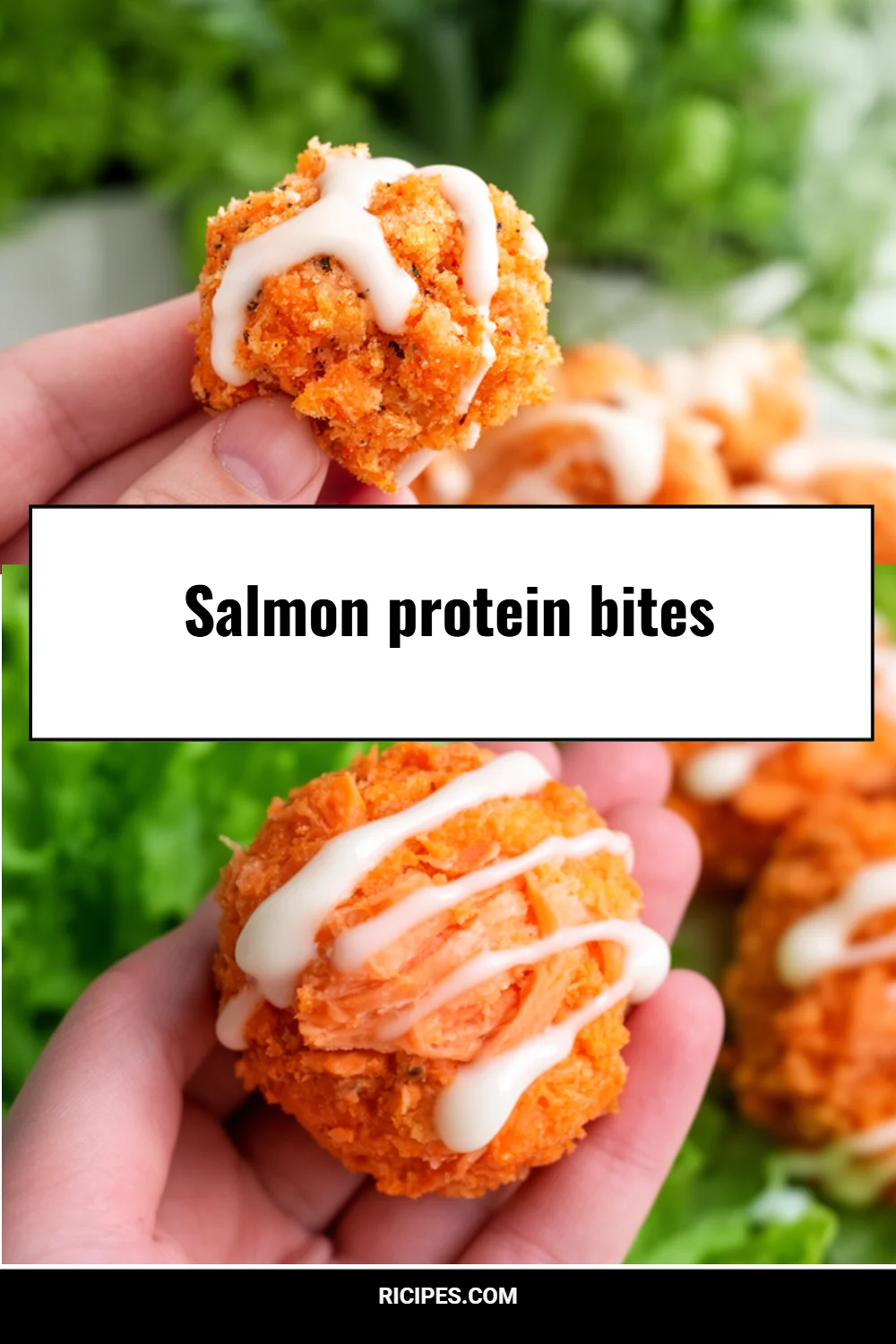 Salmon protein bites 4 Salmon protein bites